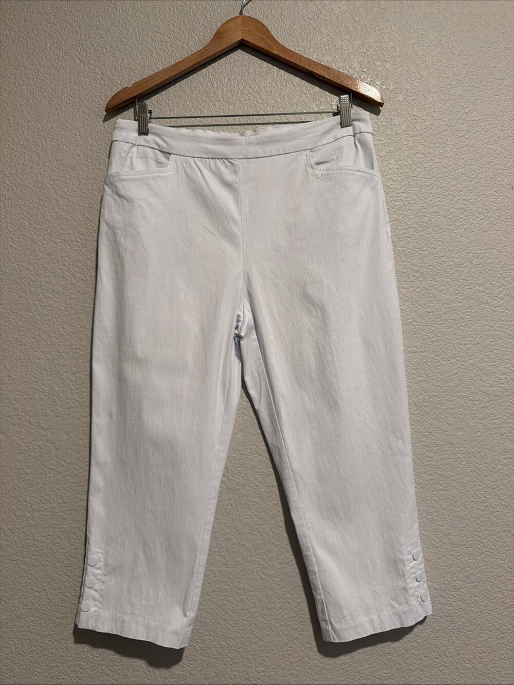 Jenna Rose Mid Rise Capri Pants Stretch Cropped Blue Country Cottage Pull On 1X